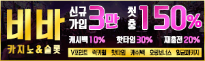 비바카지노